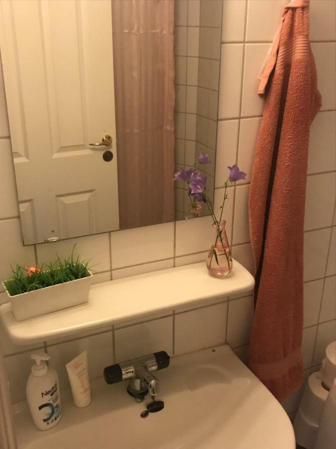 Charming Apart. 5 Min Walk From Central Station Köpenhamn